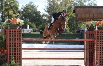 Sharn Wordley joins Major League Show Jumping