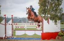 2018/19 Season Wrap-Up - Equibreed Leading NZ Jumping Stallion